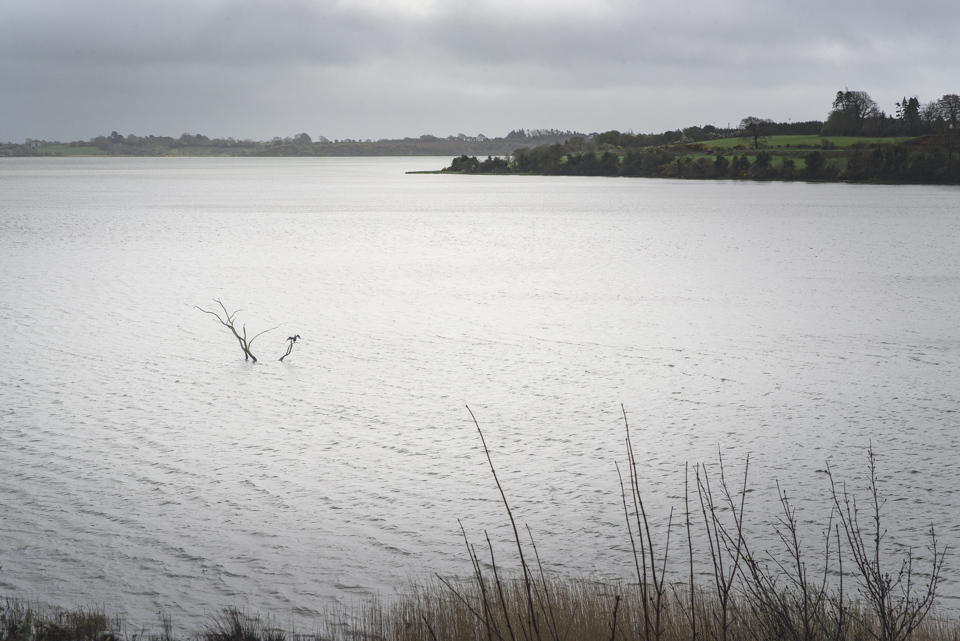 Ferrycarrig Wedding Photographer Wexford